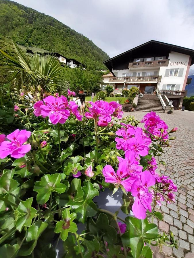 Chalet Anna マルレンゴ エクステリア 写真