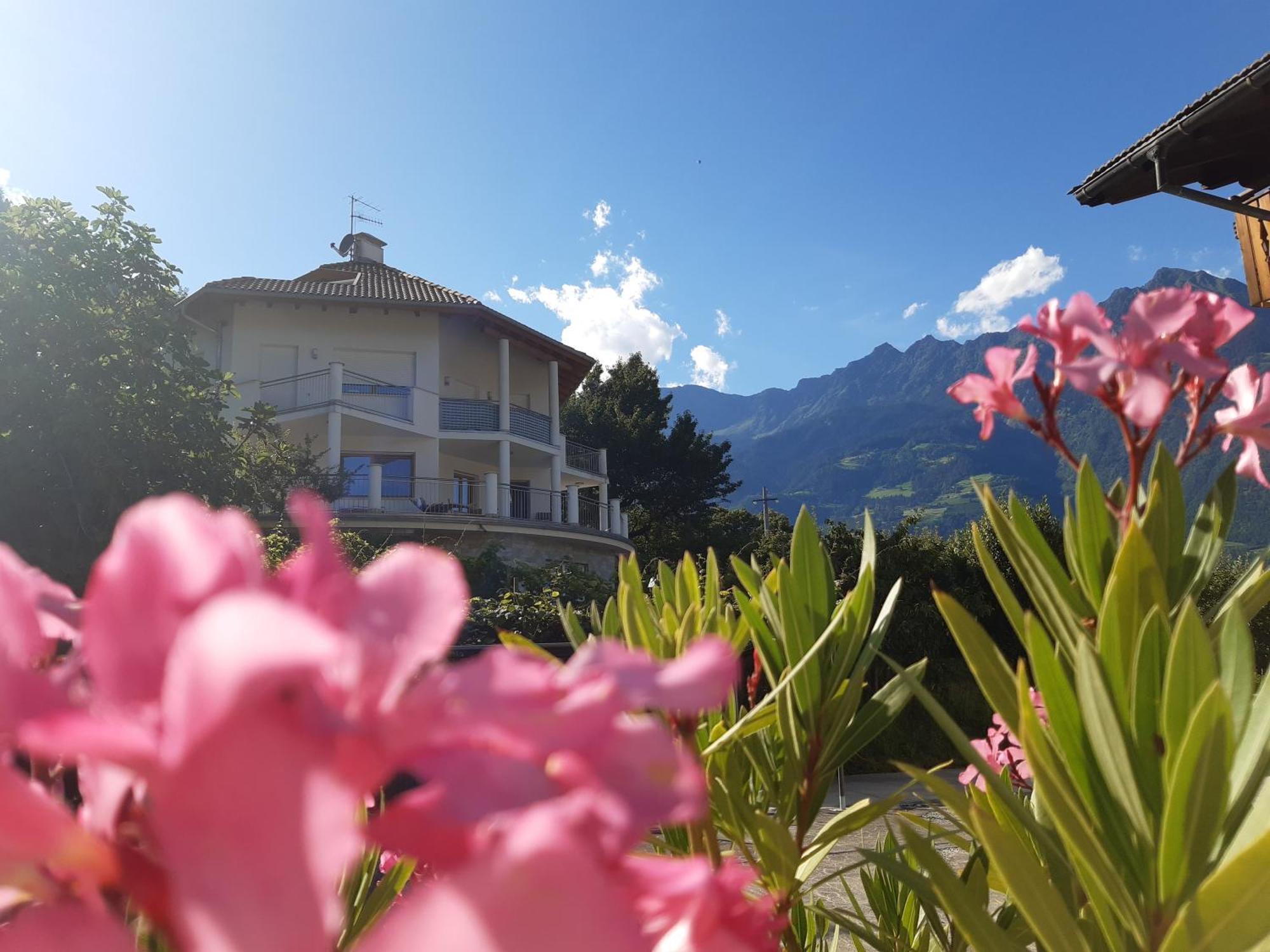 Chalet Anna マルレンゴ エクステリア 写真